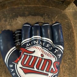 Minnesota Twins Foam/Plush glove