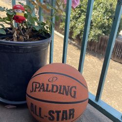 Basketball