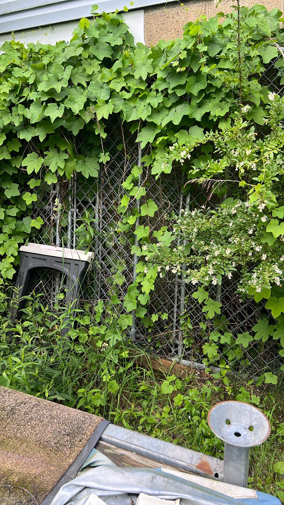Fenced Dog Kennel