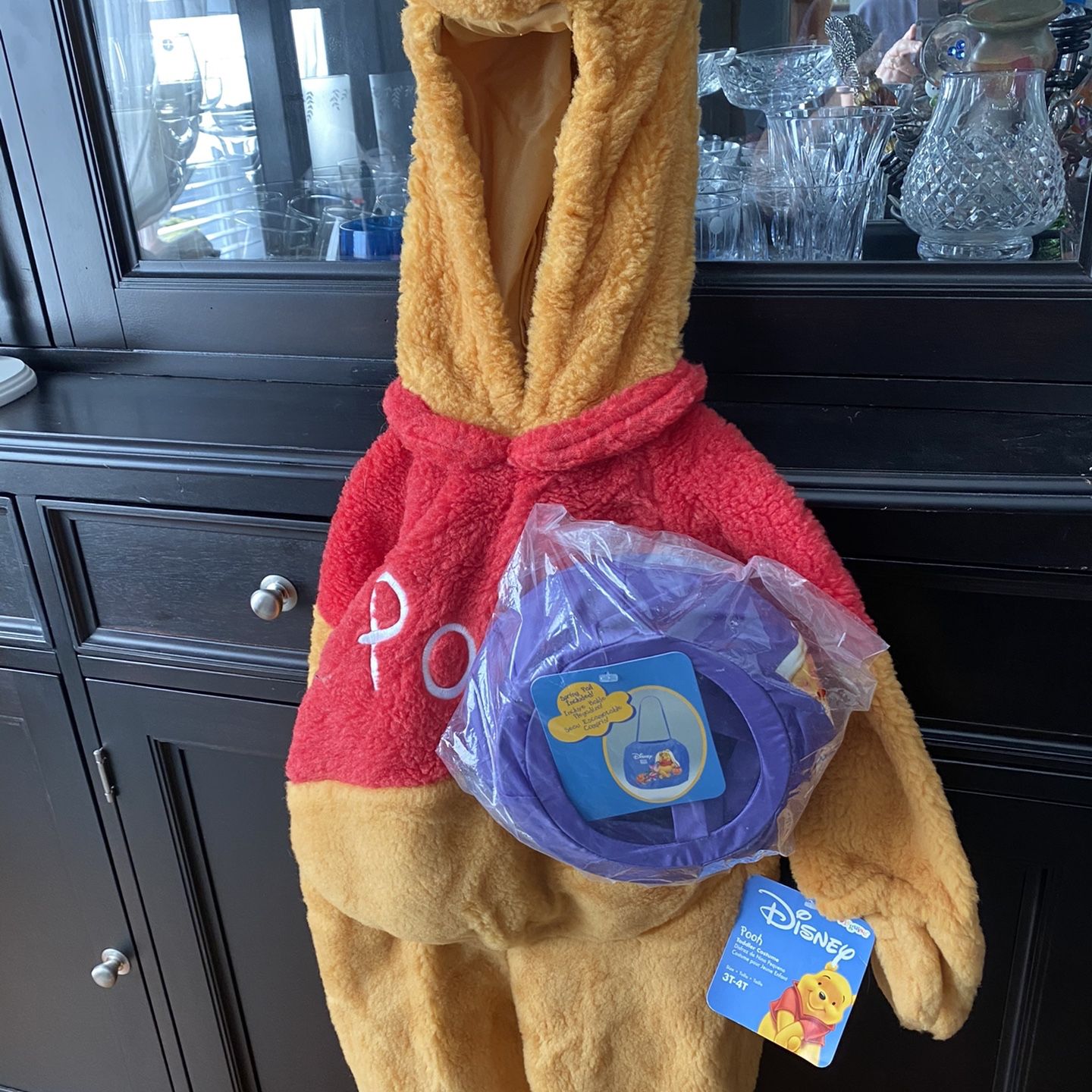 Disney Winnie The Pooh 3t-4t Costume And Spring Pail New!