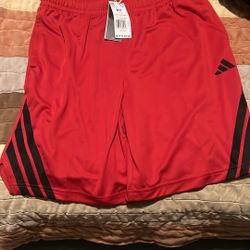 Men’s  Medium Adidas Shorts