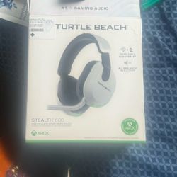 Turtle Beach Stealth 600 