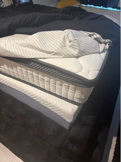 Queen truffle bed