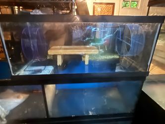 20 gallon long hamster/gerbil tank