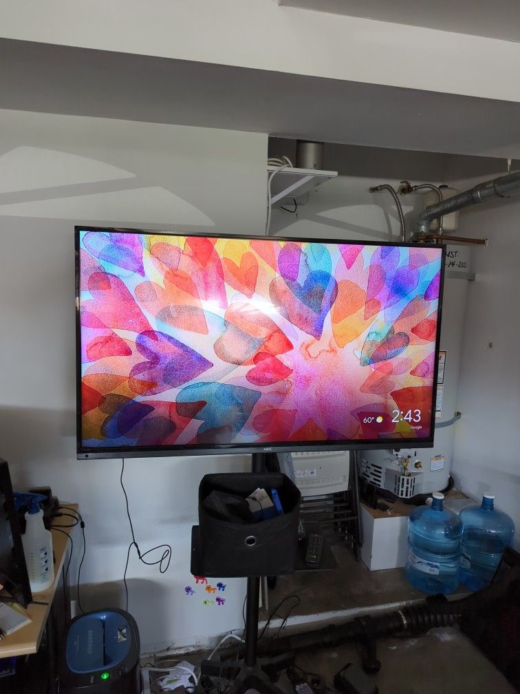 NEC E554 55" TV