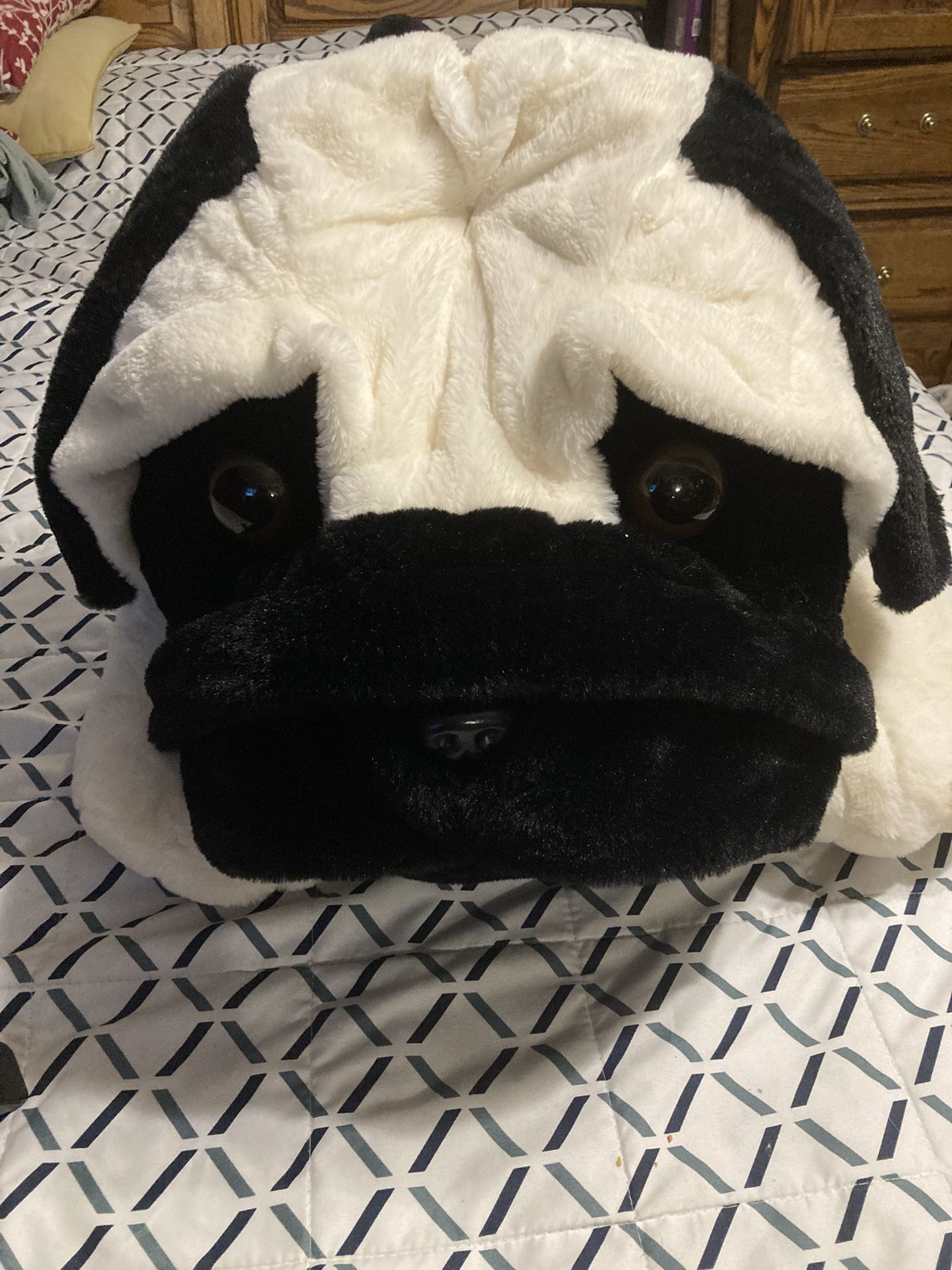 Giant Stuffed animal Pug Dog