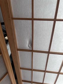 Bamboo Room Divider