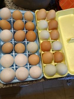 Free range eggs.