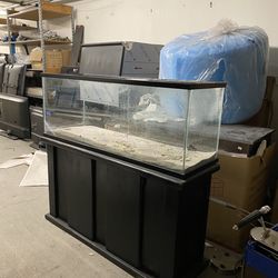 55-Gallon Glass Fish Tank