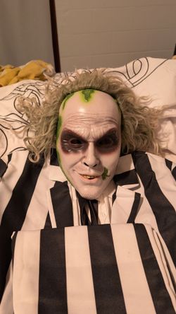 Beetlejuice Costume 40$
