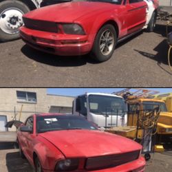 2006 Ford Mustang