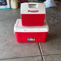 2 Igloo Coolers $40