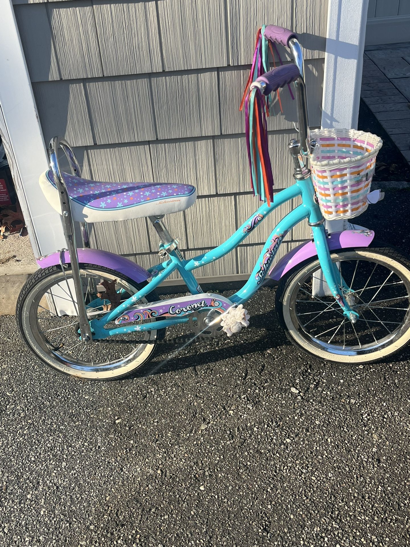 Schwinn hotsell coronet bike