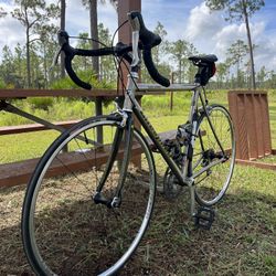 Road Bike Titanium LiteSpeed 