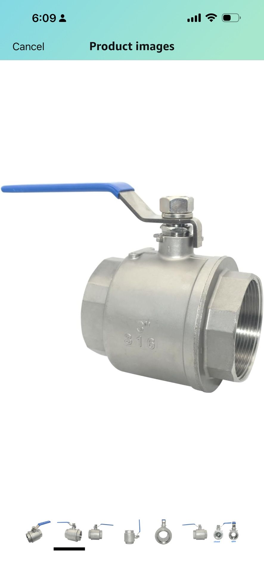 DAN SPEED 3" NPT Female 316 Stainless Steel Full Port Ball Valve Vinyl Handle WOG1000 (3 inch)