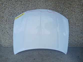 2015-22 Dodge Charger Hood