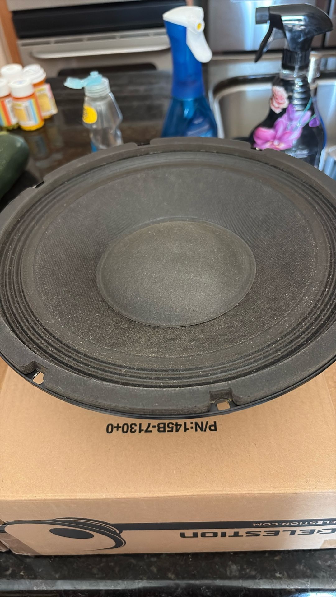 2 -10 Inch Bass Guitar Speakers
