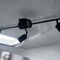 Sealing Light 