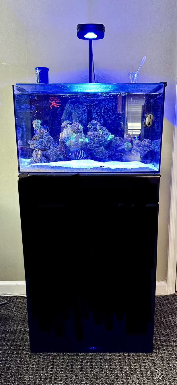  26 Gallon AlO saltwater fish tank