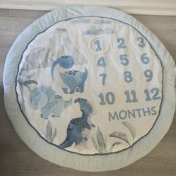 Manhattan Luxury Baby Milestone Mat