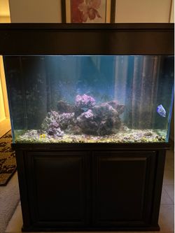 90 gallon aquarium black stand  W50 inches  H67inches D251/4