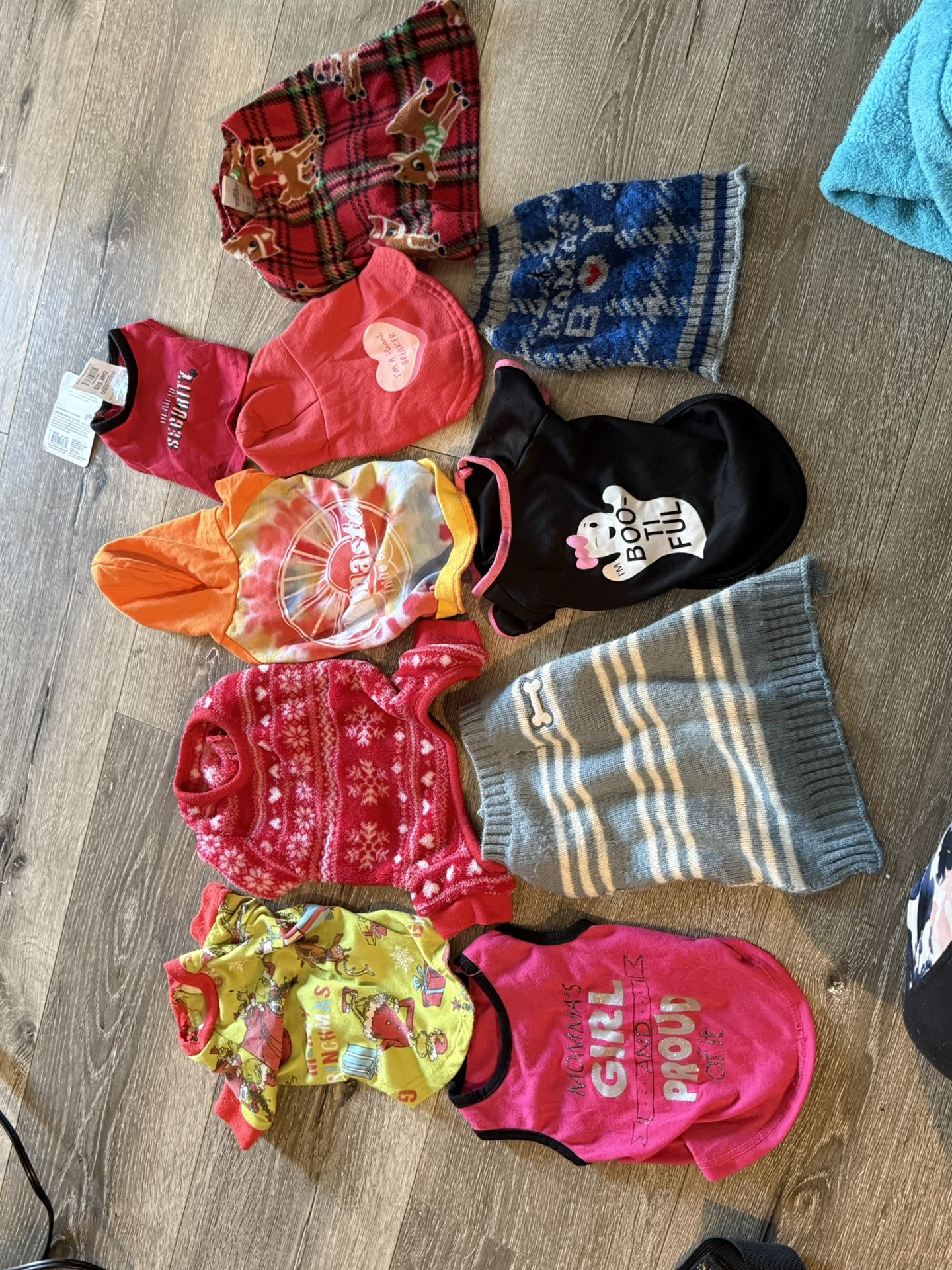 Dog Outfits