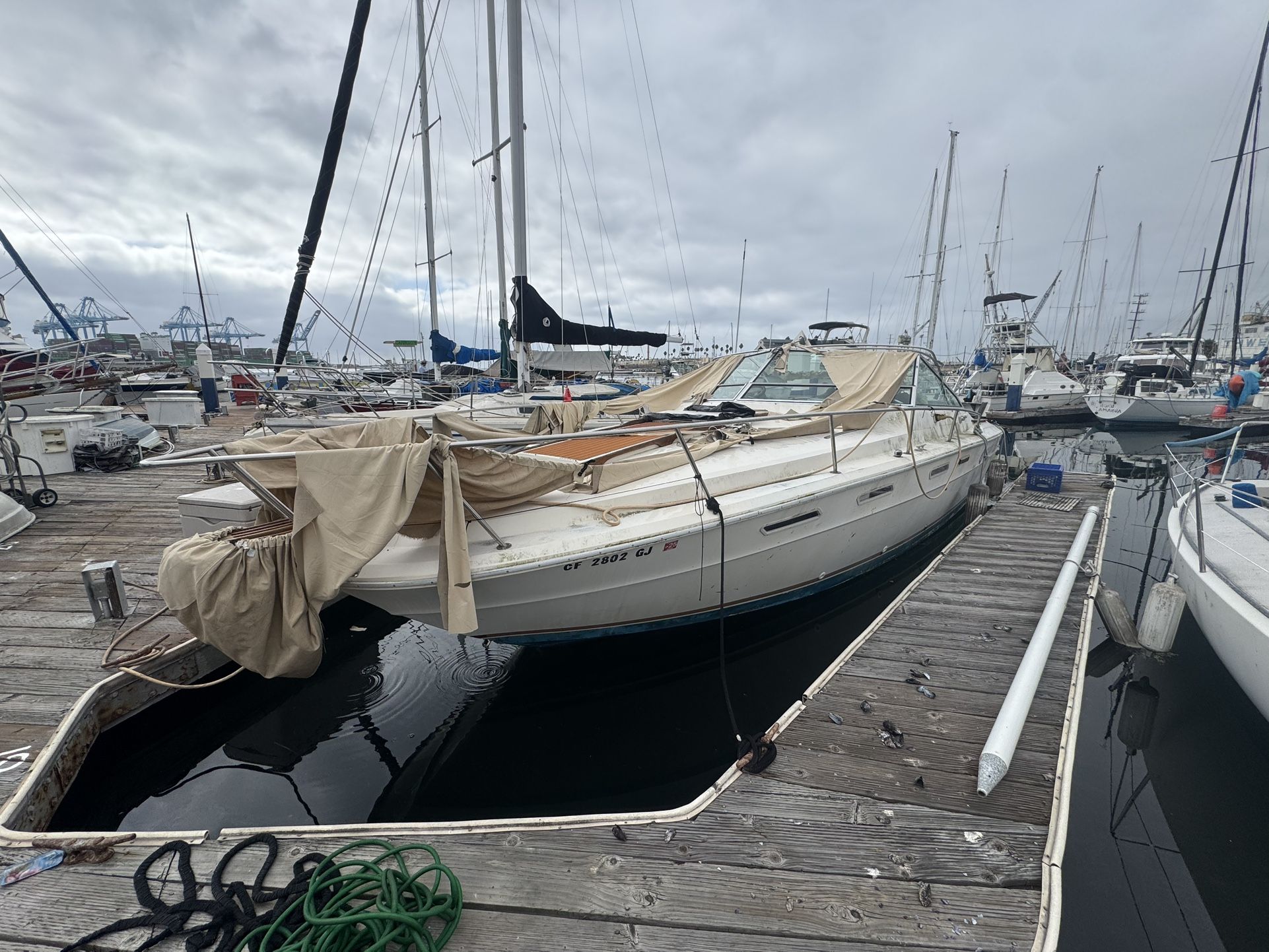 1978 Sea Ray Cruiser