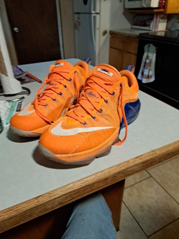 LeBron James Orange & Blue Nike Shoes