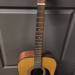 Fender DG 85 NAT Acoustic Guitar