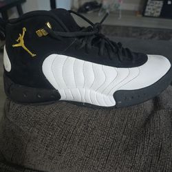 Jordan jumpman pro 10.5