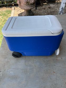 Cooler