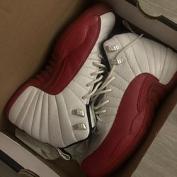 jordan 12 