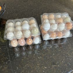 Eggs $6 La Docena 