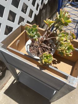 Wood planter patio / garden- 24 inches high/ 17.5 inches deep/ 10.5 inches wide