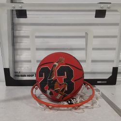 24" XL PRO SKLZ DOOR BASKETBALL/ AJ23 Basketball FREE DELIVERY 