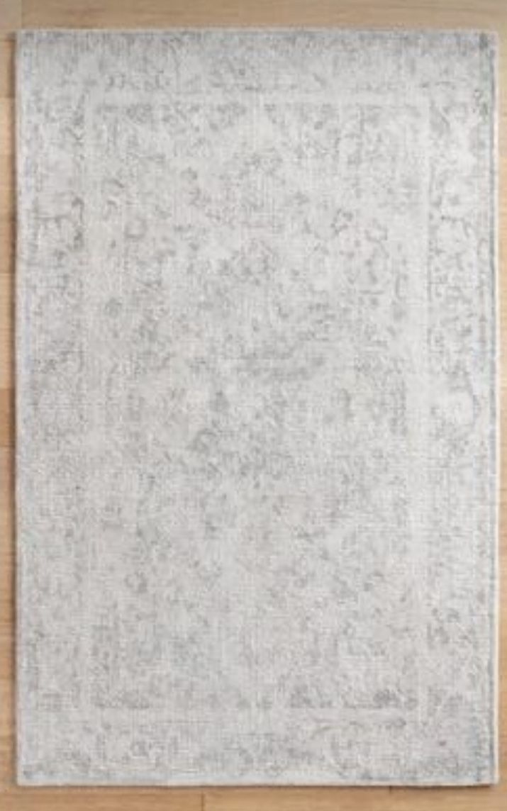 Pier 1 5 x 8 ft Lara Ice Gray Rug