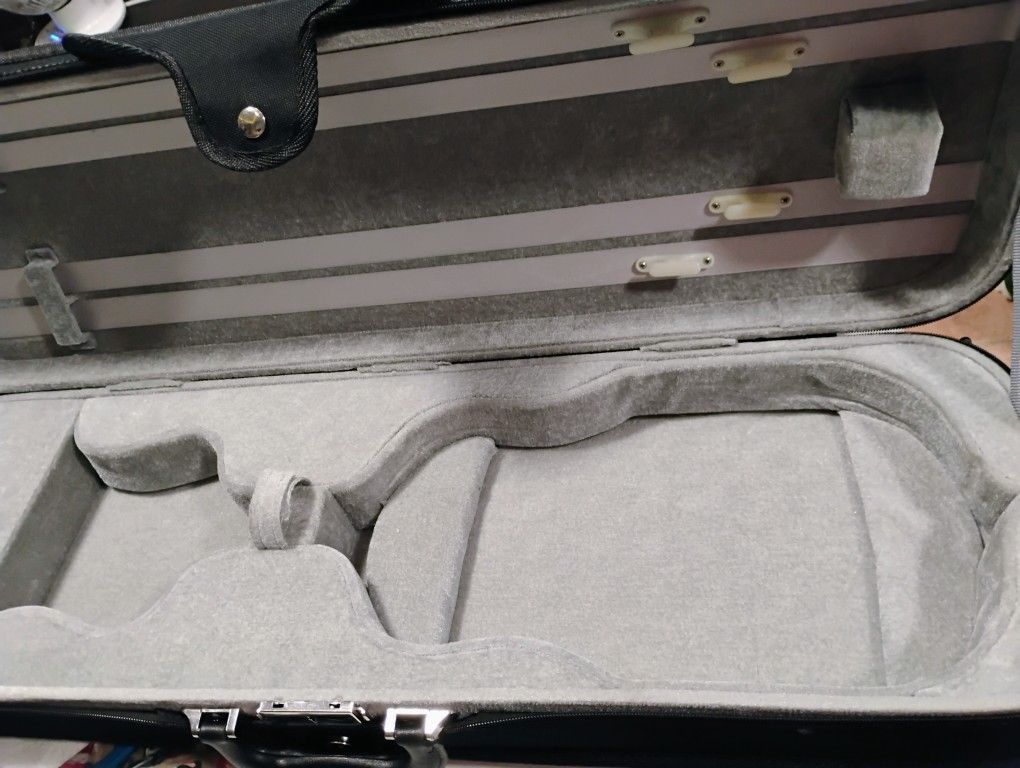 Violin Case
