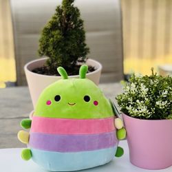squishmallow 8”