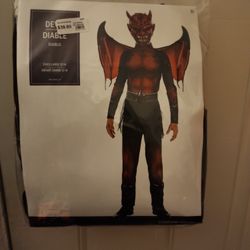 Halloween 🎃 Costume 