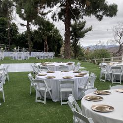 Tables / Chairs / linens / table chargers