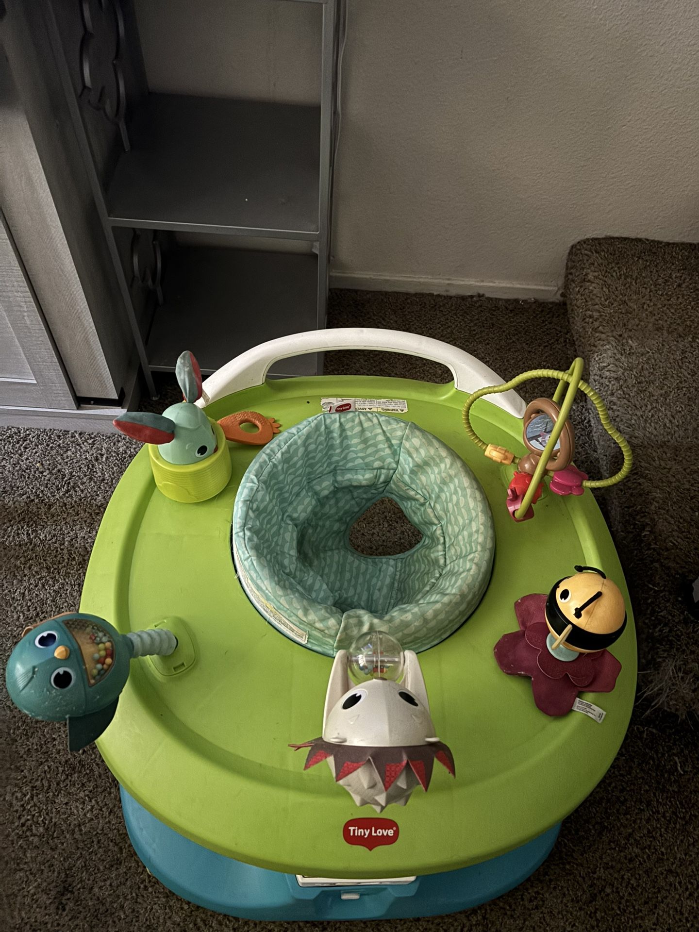 Baby Walker