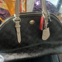 purses