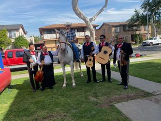 Trompeta timbales de mariachi