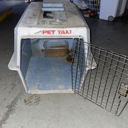 Pet Taxi 