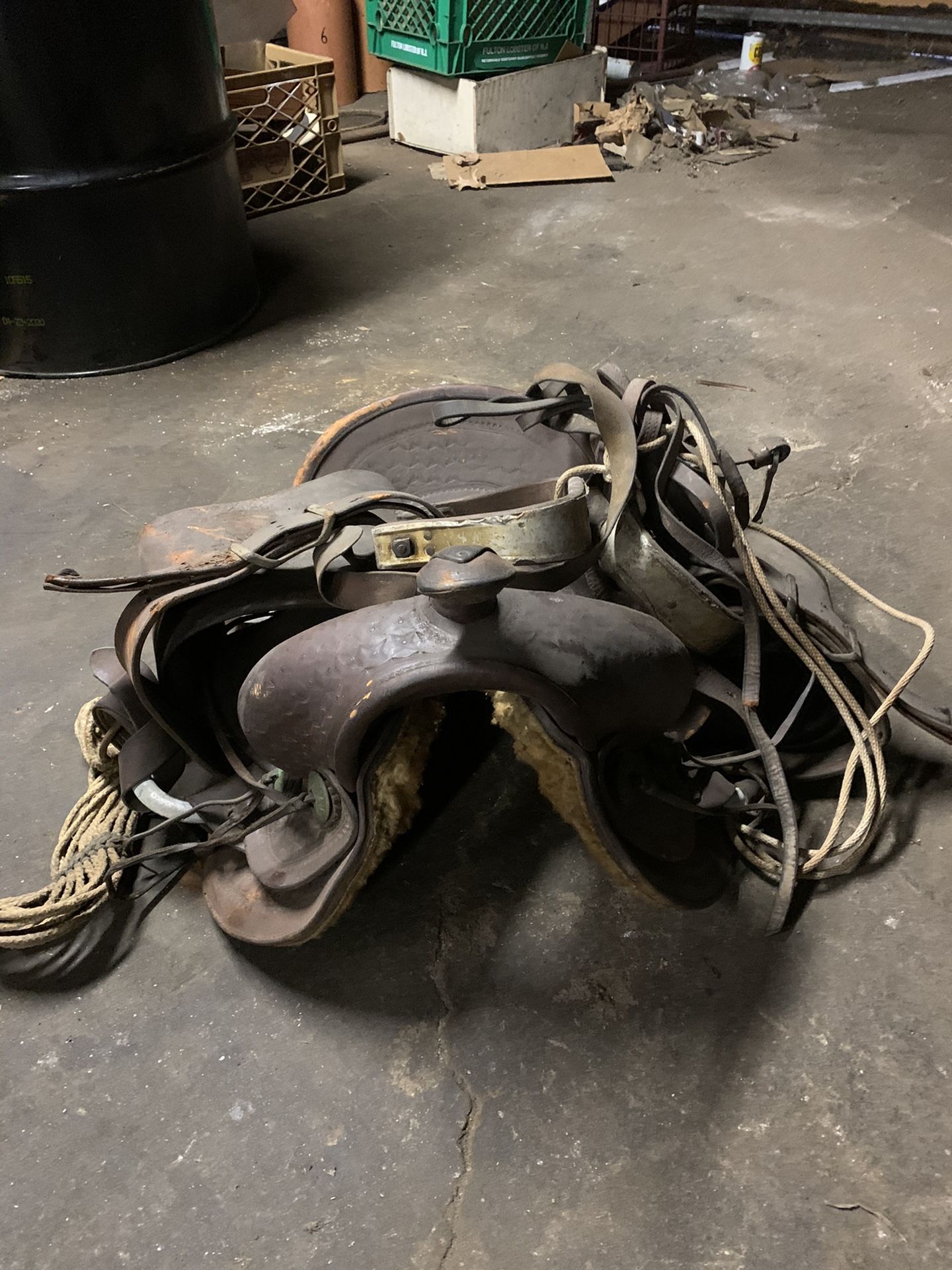 Horse Seat