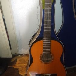 Digorgio Romeo N. 2 Acoustic Guitar 