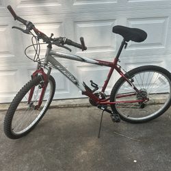 Adult Bike