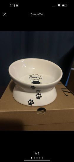 Cat Dish