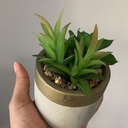 Faux Plant 