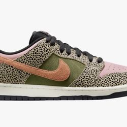 Nike SB ARTS N REC Dunk Low 8.5